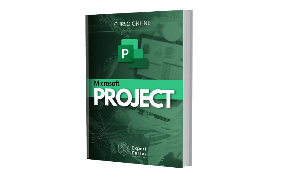 curso online ms project